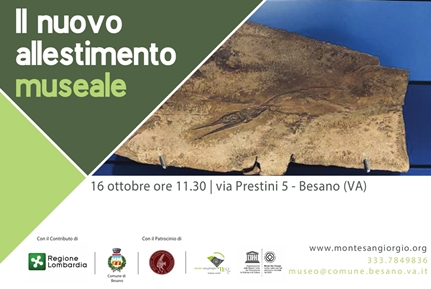 Riapertura Museo di Besano il 16 ottobre 2020